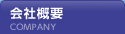 ЊTv
